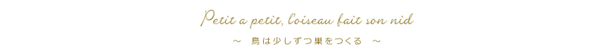 鳥は少しずつ巣をつくる width=